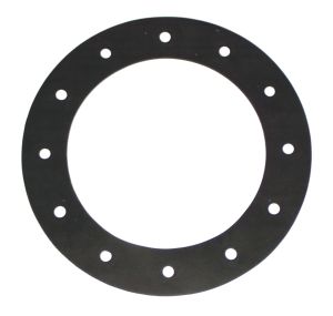 12-Hole Fuel Gasket
