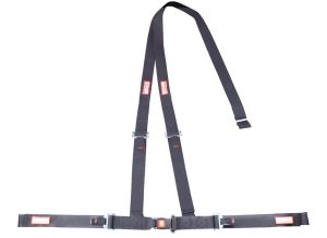 Racerdirect 2" Buggy Off Road Seat Belt 3-Point B&T "Y" Harness, All Wrap Ends